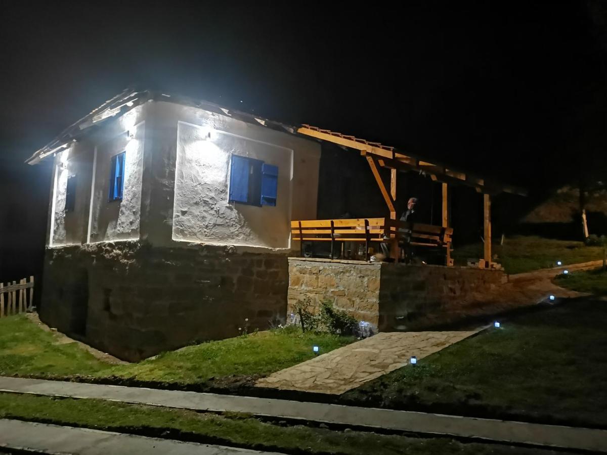 GučaStara Etno Kuca Radonjic别墅 外观 照片